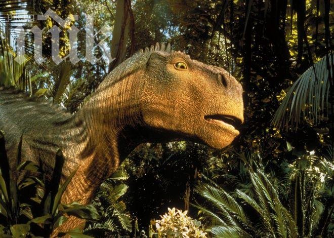 УЖАС! Откриха огромен непознат звяр, лапал само мръвка