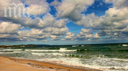 еврокомисията започва разследване случая корал