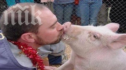 млад мъж прави години секс свиня отхапва пениса