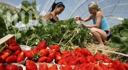 българин осъди британския шеф обида расова дискриминация