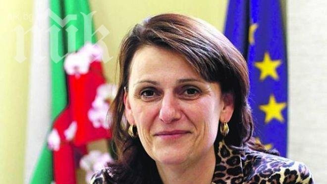 Валентина Маринова: Ще има достатъчно дървесина за фирмите