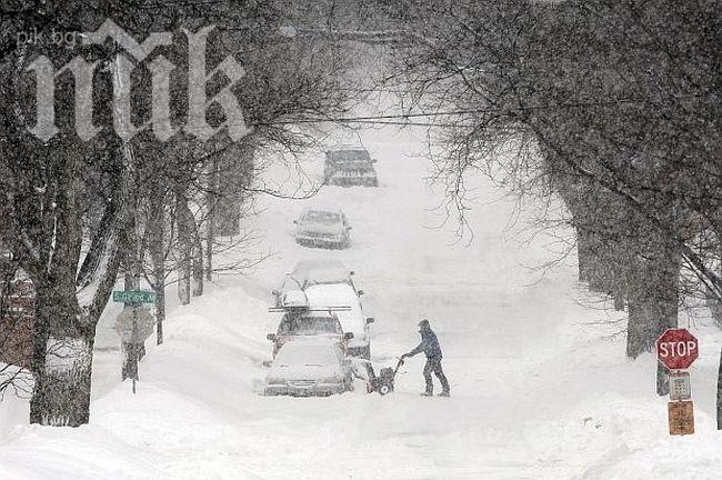 Снежна буря уби 13 американци