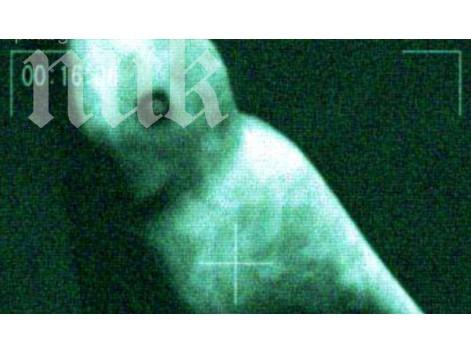 Заснеха извънземно на Антарктида