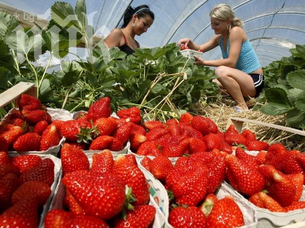 Българин осъди британския си шеф за обида и расова дискриминация