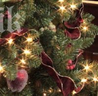За Коледа: Всяка елха с бандерол
