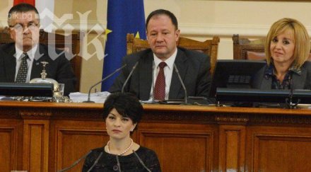 деси атанасова държите влечуги земноводни терариум