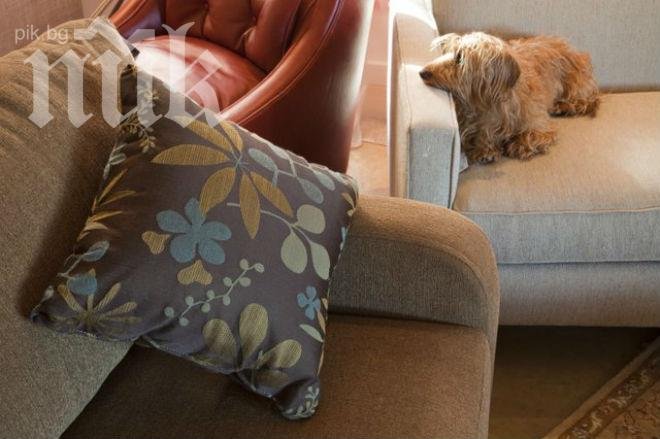 Хитро! Вижте как да затоплите цяла стая само за 40 стотинки на ден! (видео)