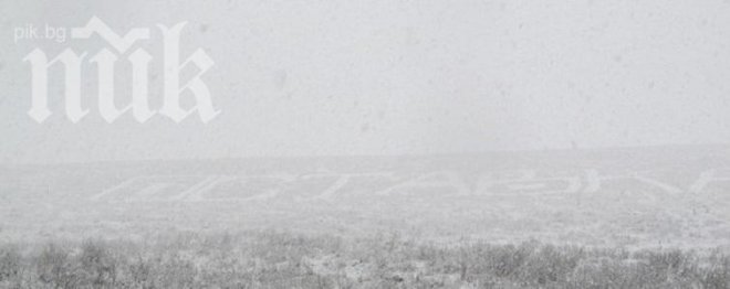 Нестандартно! Русенец изписа Оставка насред полето (снимка)