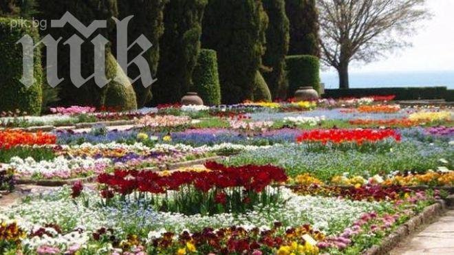 Ще изграждат паркинг за 150 коли край Морската градина