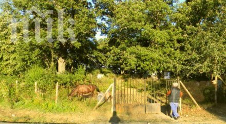 родители слагат цветя гроба сина появява думите завърнах