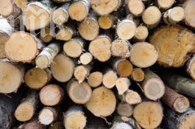Арестуваха собственик на дърводелски цех за крадене на дървесина
