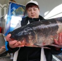 Масови проверки на риба заради Никулден (Снимки)