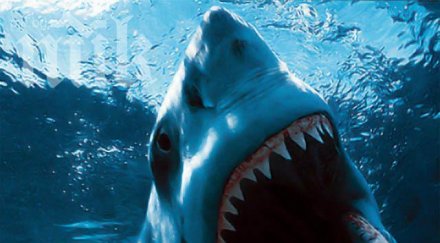 акула разкъса рибар хаваи