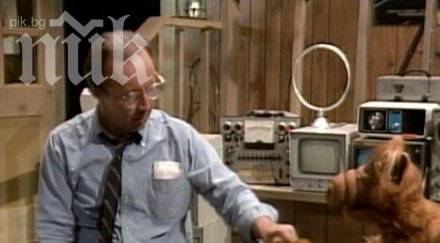 уили алф бил гей