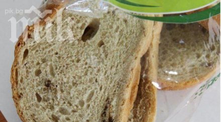 поредно безумие пловдивчани откриха черни парцали хляба