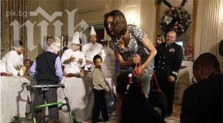 кучето обама бутна дете