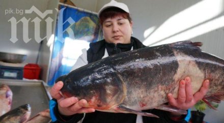 масови проверки риба заради никулден снимки