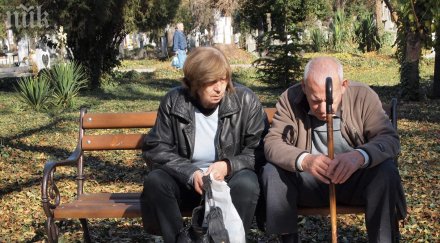 проучване града нас всеки трети възрастен жертва домашно насилие