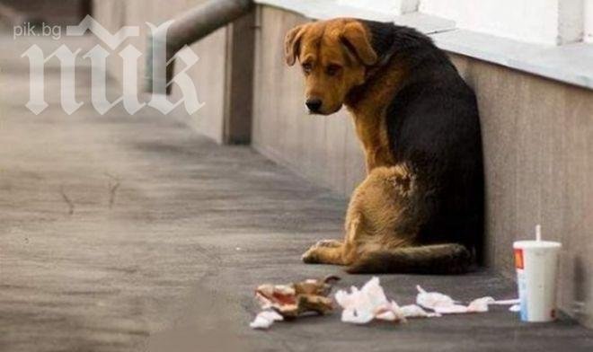 Кучи студ ни чака утре сутринта