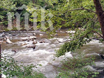 Откриха мъртъв мъж в река Места