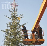 предлагат коледна украса млн лева