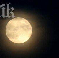 НАСА ще отглежда ряпа и босилек на Луната през 2015 г. 