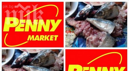 разочаровани клиенти скумрията пени маркет превръща слузеста пихтия размразяване