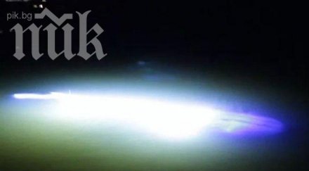 загадъчно същество ошашави биолозите плува свети видео