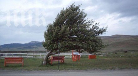 вятърът отслабва нощта пак набира сили