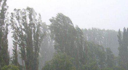 ветровито неделя