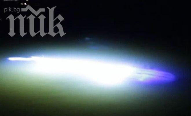 Загадъчно същество ошашави биолозите! Плува и свети! (видео)