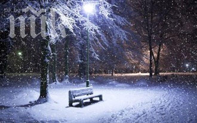 Снежната стихия остави 11 хиляди души без ток в Литва