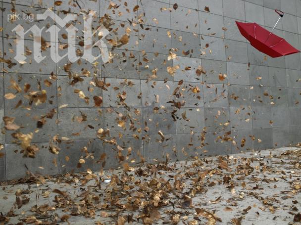 БАН: Опасно силен вятър ще духа в Северна България, жълт код е обявен за 14 области