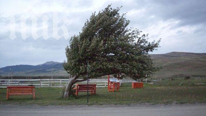 Вятърът отслабва през нощта, но утре пак ще набира сили