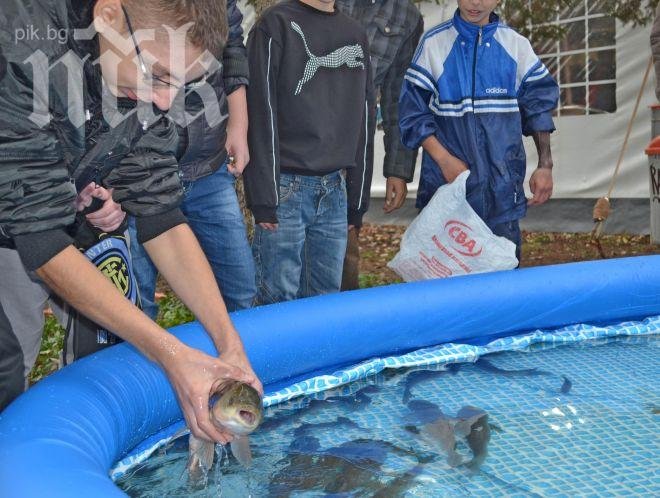 Рибари хващаха шарани с голи ръце 