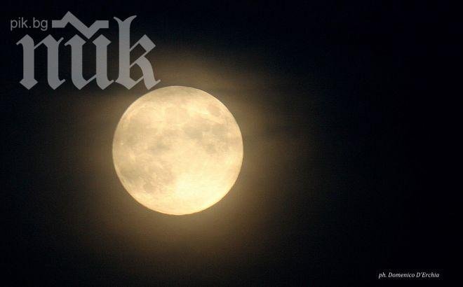 НАСА ще отглежда ряпа и босилек на Луната през 2015 г. 