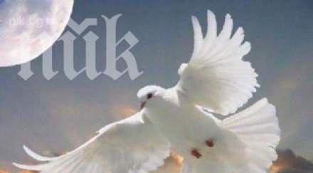 явяват духове починали близки вижте случва експерти