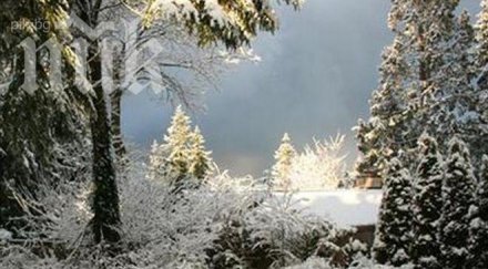 голям студ чака нощта сутринта