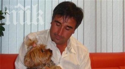 веселин маринов погреба голямата любов