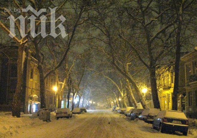 БАН: Снегът в Пловдив е вече 8 см