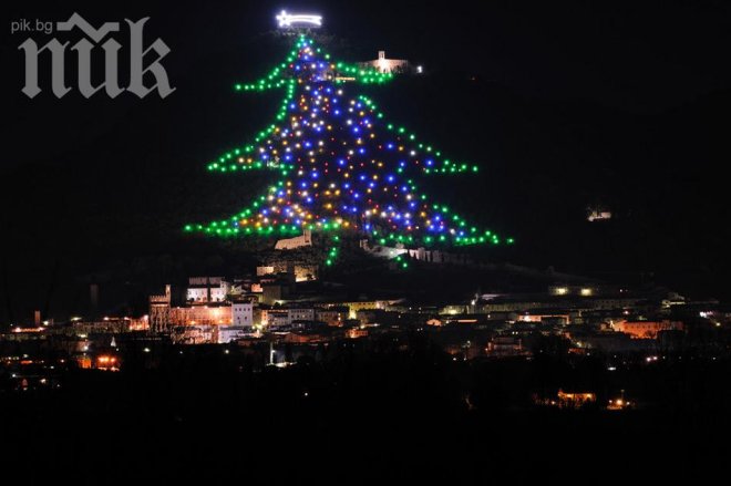 Ето я най-голямата коледна елха в света (снимки)