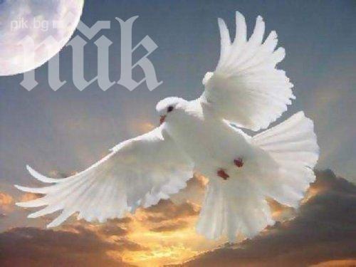 Явяват ви се духове на починали близки? Вижте защо се случва според експерти!