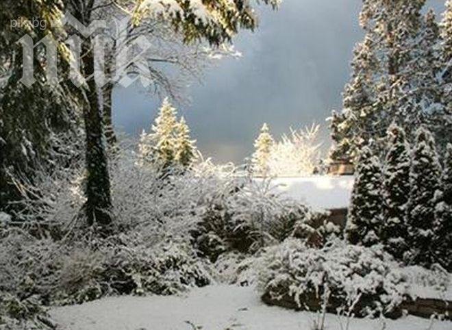 Голям студ ни чака през нощта и утре сутринта