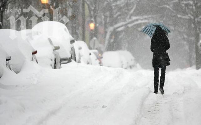 Минус 29° и снежни бури блокират САЩ