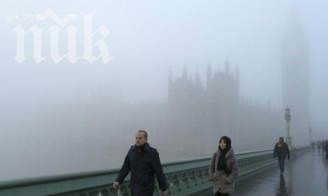Това вече е прекалено! Британците ни сравниха с хлебарки - отвратителни, слаби, чуждоземни насекоми