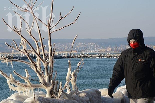 Синоптици: Днес е най-студеният ден, морето край Варна и Ахтопол на места замръзна. Чакаме минусови рекорди довечера!
