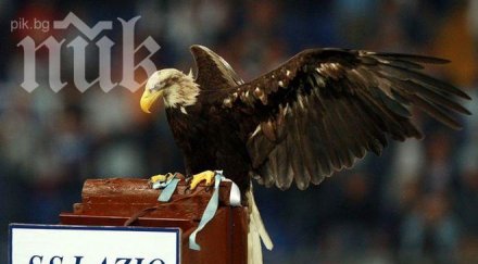 представяме римските орли