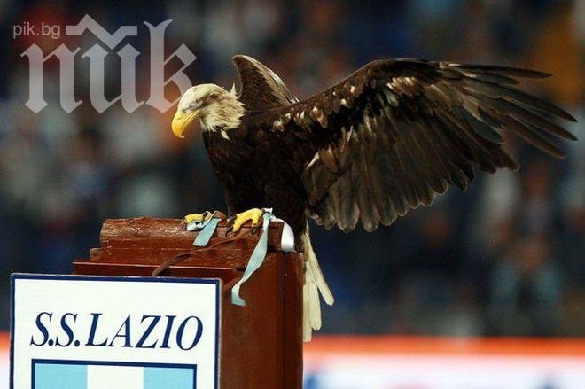 Представяме ви римските орли