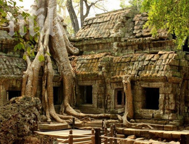 Откраднаха урната с праха на Буда