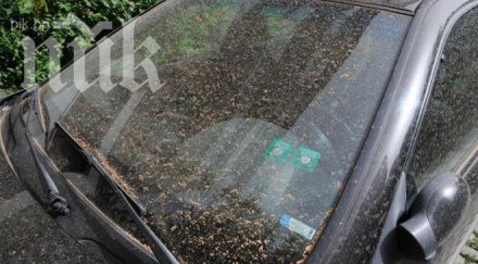 прах нормата дишали града